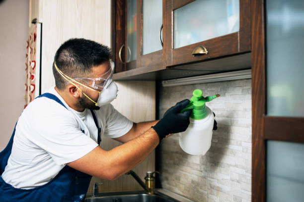 Best Cockroach Control Services  in Elma Center, NY
